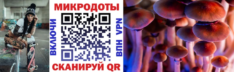 гидра как зайти  Троицк  Псилоцибиновые грибы GOLDEN TEACHER 